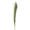 Herbe Verte Artificielle GRASS - H. 102 cm - POMAX