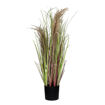 Bouquet d'Herbes Artificielles GRASS Naturel - D11 X H78 cm - POMAX