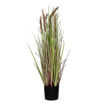 Bouquet d'Herbes Artificielles GRASS Brun - D11 X H78 cm - POMAX
