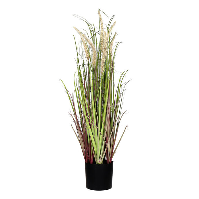 Bouquet d'Herbes Artificielles GRASS Beige - D11 X H78 cm - POMAX P...