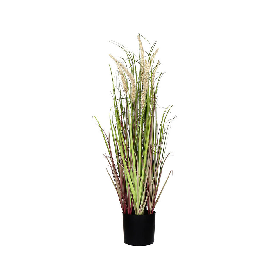 Bouquet d'Herbes Artificielles Beige GRASS - D11 X H78 cm - POMAX