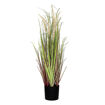 Bouquet d'Herbes Artificielles GRASS Beige - D11 X H78 cm - POMAX