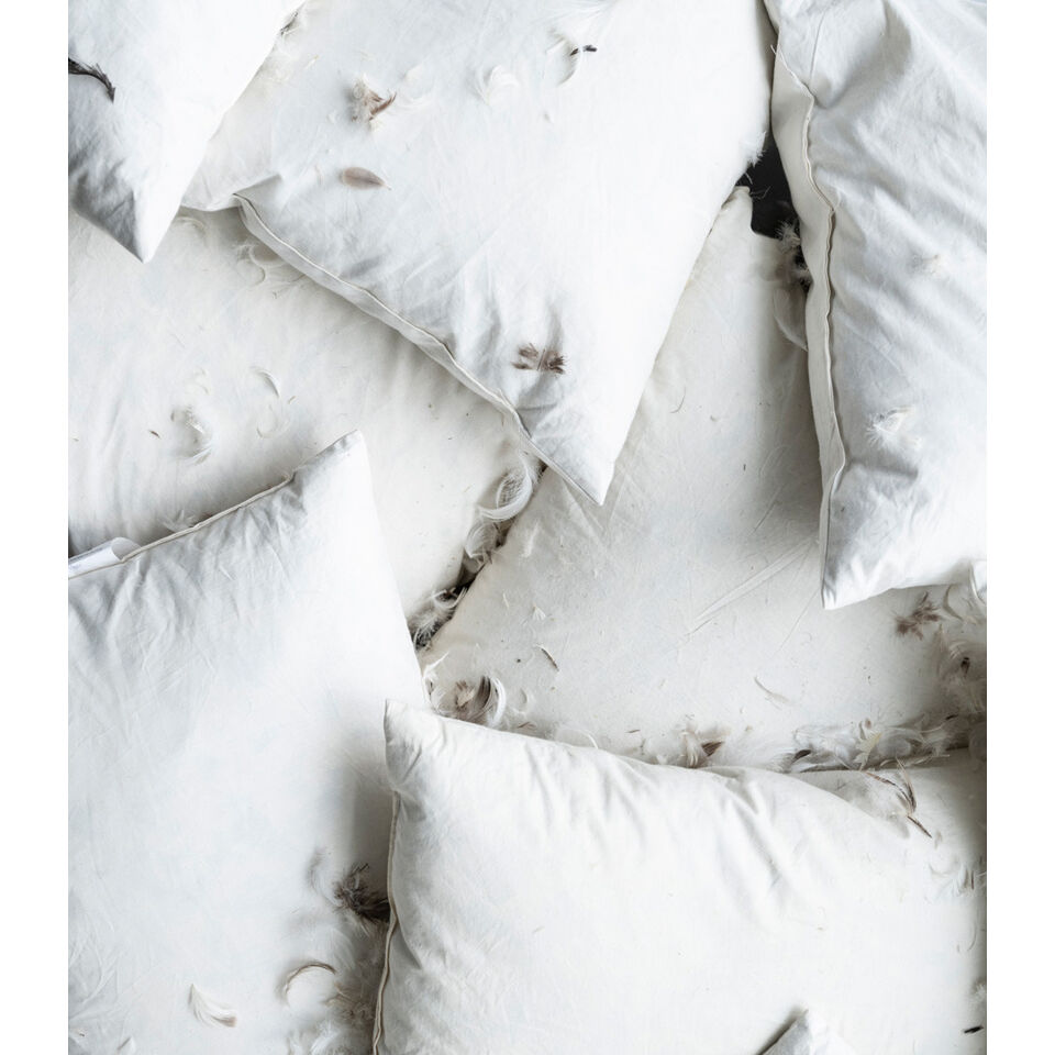 Intérieur de Coussin Plume - 40x60 - IB LAURSEN