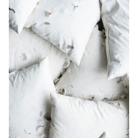 Intérieur de Coussin Plume - 40x60 - IB LAURSEN