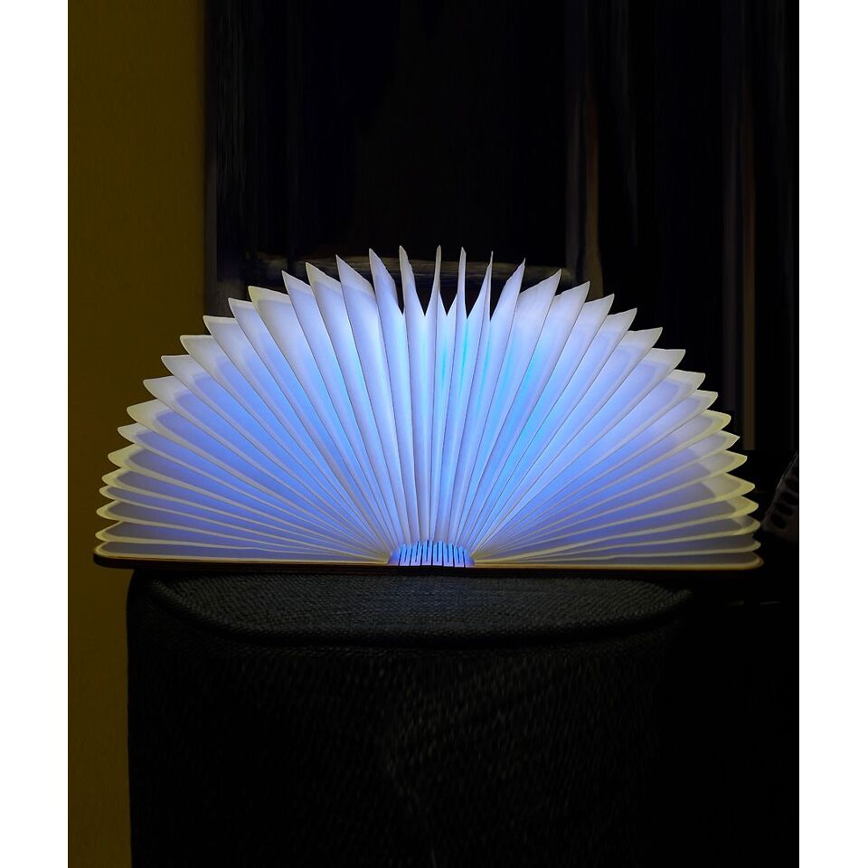 Lampe livre audio en bois d'érable clair - Oobook