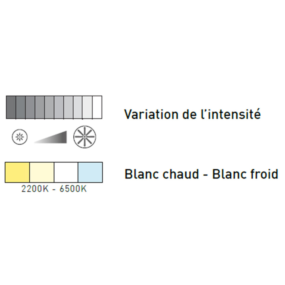 Télécommande pour ampoule