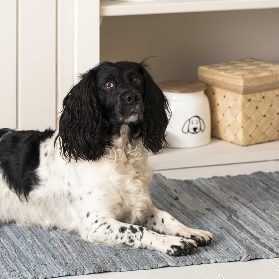Pot métal pour nourriture pour chien avec couvercle en bois