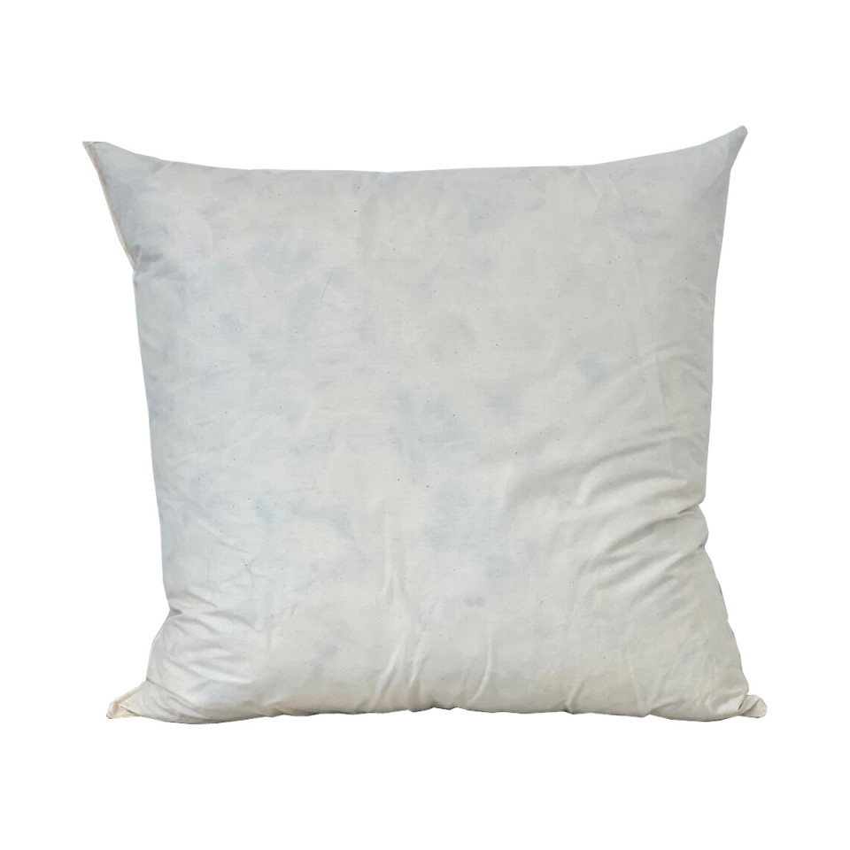 Intérieur de Coussin Plume
