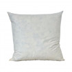Intérieur de Coussin Plume