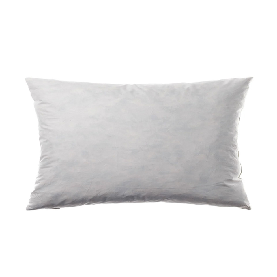 Intérieur de Coussin Plume