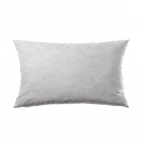 Intérieur de Coussin Plume