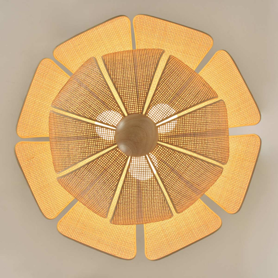 Suspension Coquillage D70 Market Set
