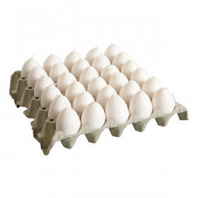 EGG CANDLES Oeuf Bougie avec Jaune 