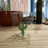 Verre Cactus 