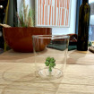 Verre Trèfle