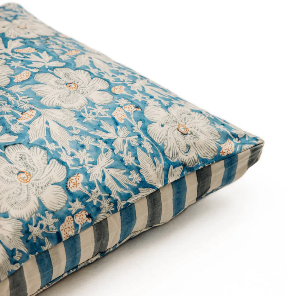 Coussin Supernova 40X60 