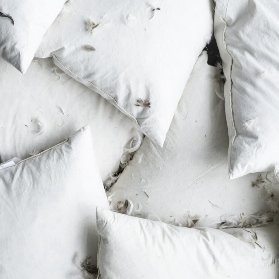 Coussin - Intérieur PLUME - 50X70