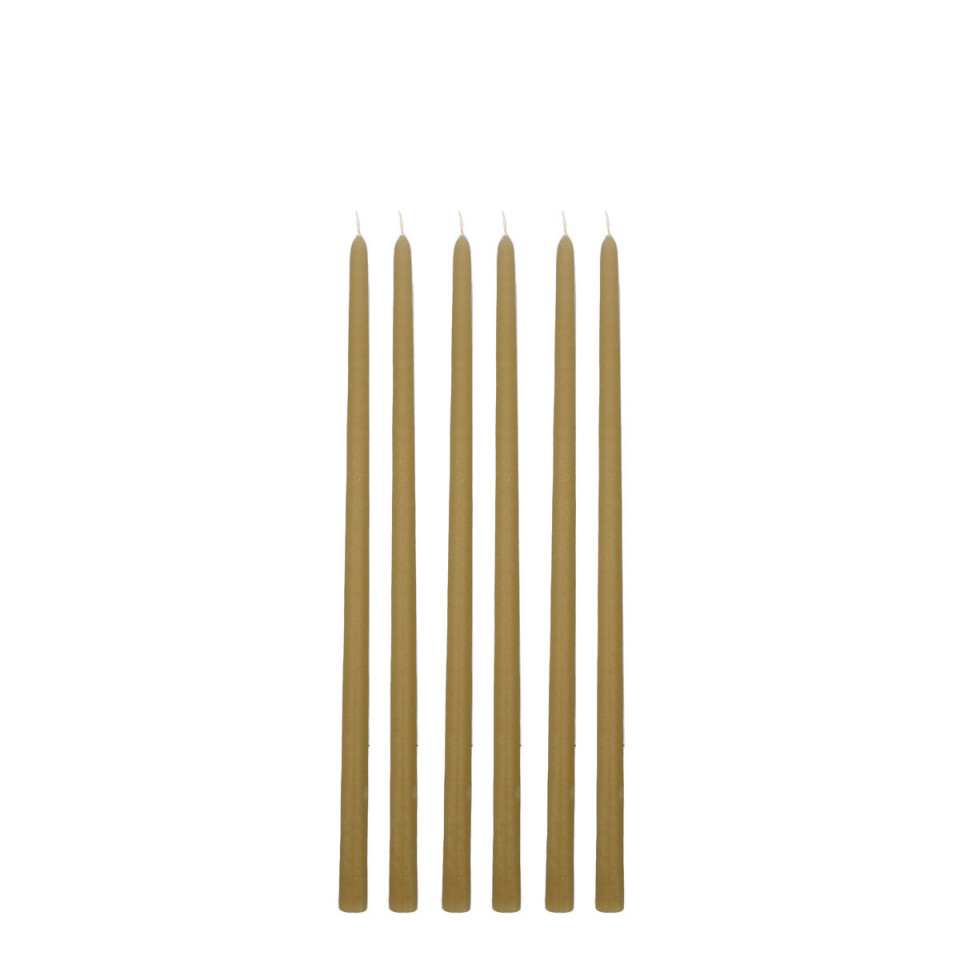 Lot de 6 Bougies FLEURISTE 