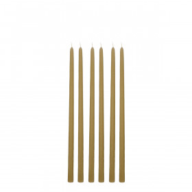 Lot de 6 Bougies FLEURISTE 