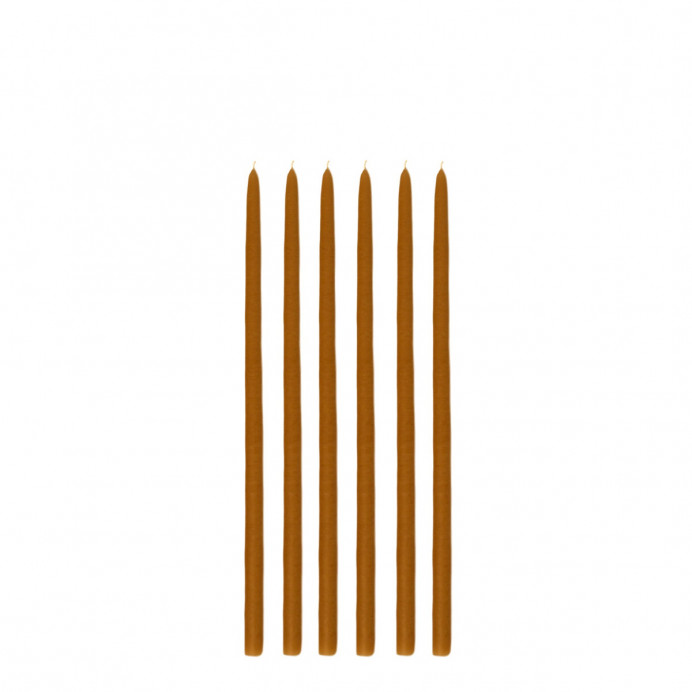 Lot de 6 Bougies FLEURISTE