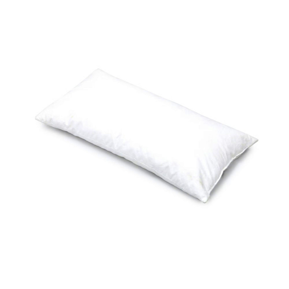 Intérieur de Coussin Plumes de Canard Wilson  
