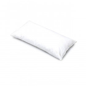 Intérieur de Coussin Plumes de Canard Wilson  