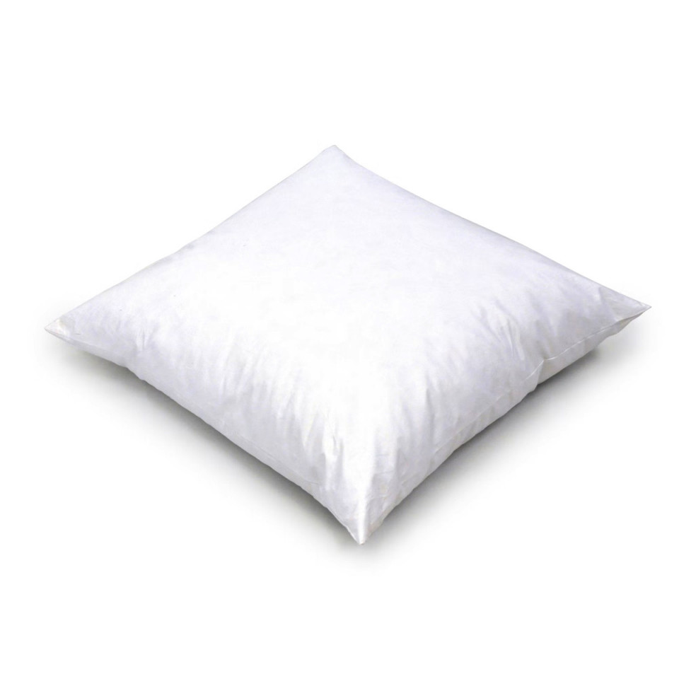 Intérieur de Coussin Plumes de Canard Wilson