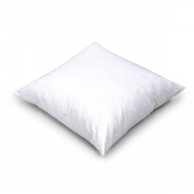 Intérieur de Coussin Plumes de Canard Wilson