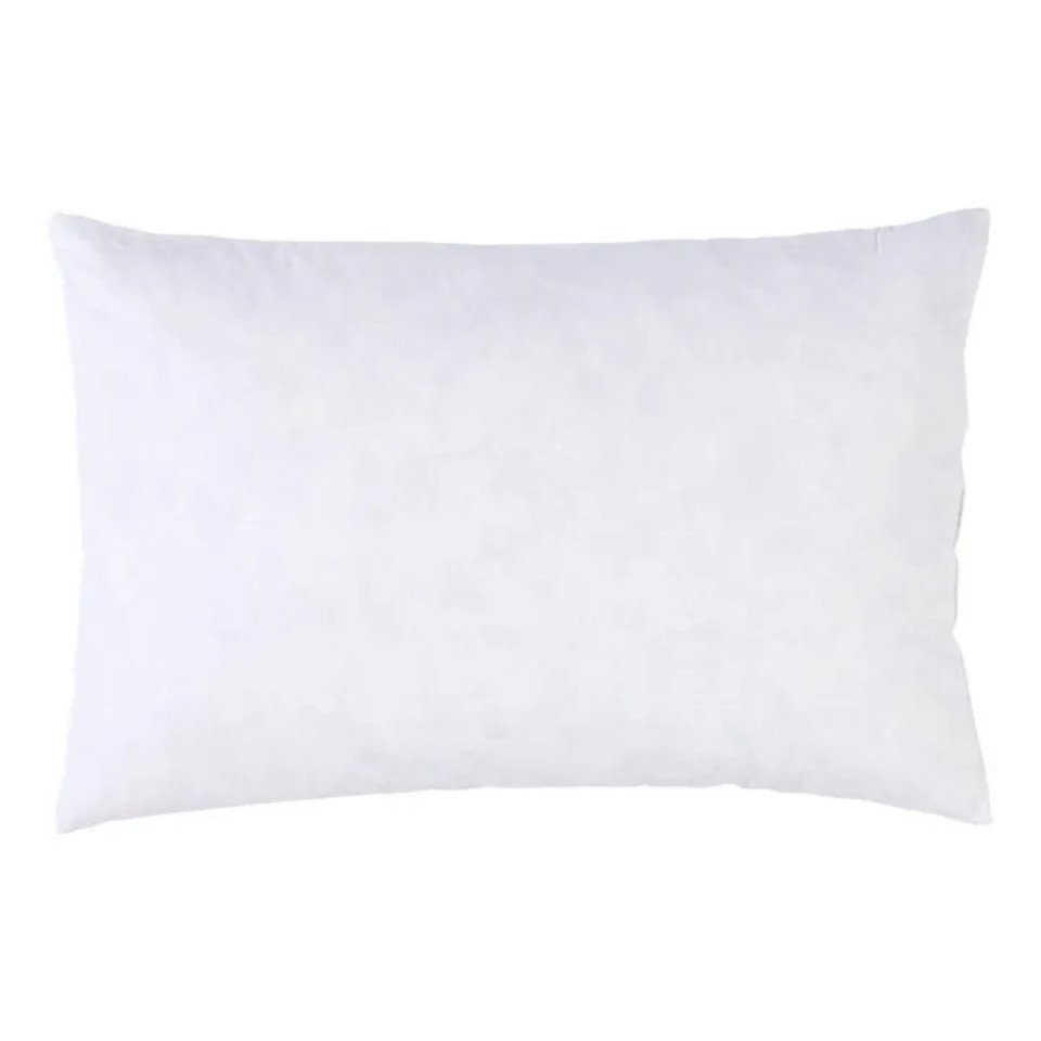 Interieur de coussin Plumes