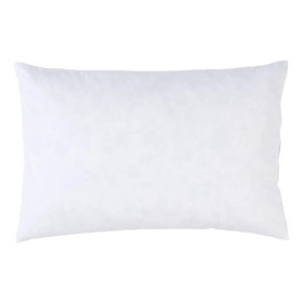 Interieur de coussin Plumes
