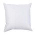 Interieur de coussin Plumes