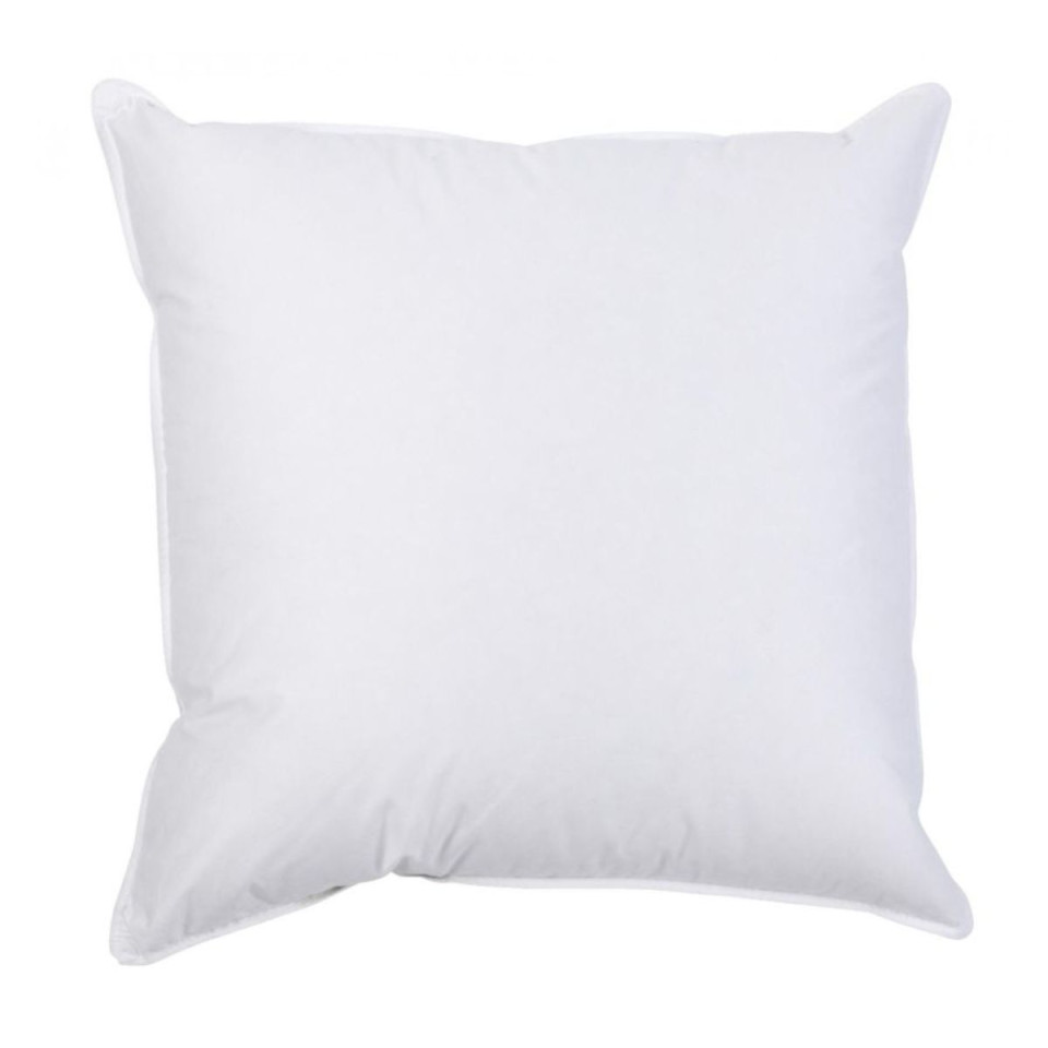 Interieur de coussin Plumes