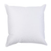 Interieur de coussin Plumes