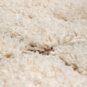 Tapis Aspect Laine BERRY 2  