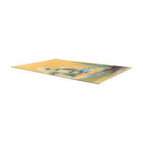 Tapis imprimé oiseaux Lola