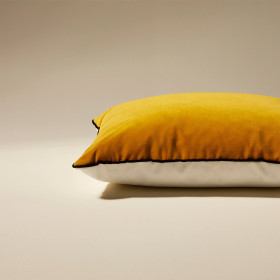 Coussin en Velours DOUBLE JEU 
