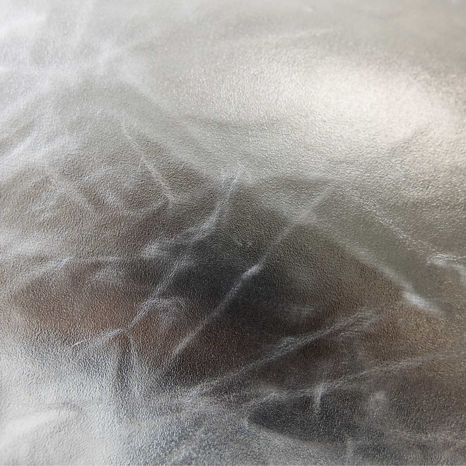 Coussin SILVER LINING