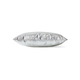 Coussin SILVER LINING