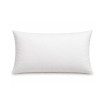 Intérieur de Coussin Polyester