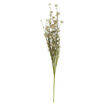 Fleurs tons blanc/vert - IB LAURSEN
