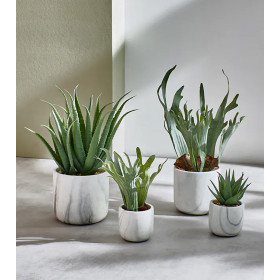 Plante Artificielle MARMURA Verte - Fougère Synthétique/Ciment et Pot en Marbre - Diam 12 x H. 40 cm - POMAX